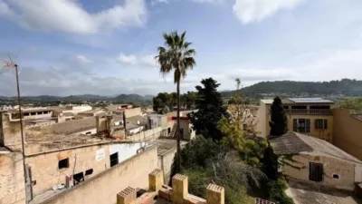 Chalet in Son Servera photo 43