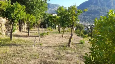 Chalet in Sóller photo 24