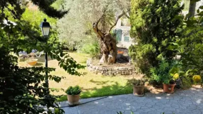 Chalet in Sóller photo 30