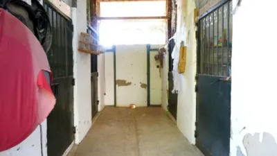 Rustic house in Carmona photo 56