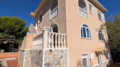 Chalet in Pinar de Campoverde photo 7