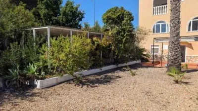 Chalet in Pinar de Campoverde photo 9