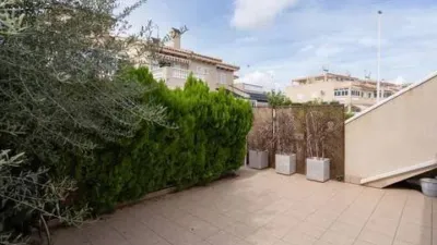 Piso – Orihuela - Vista 3