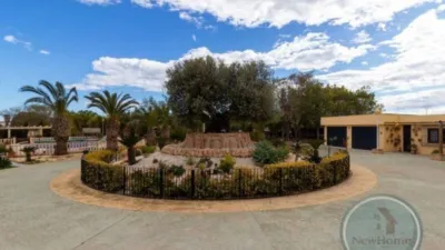 Casa – Elx - Elche - Vista 3