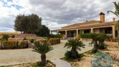 Casa – Elx - Elche - Vista 2