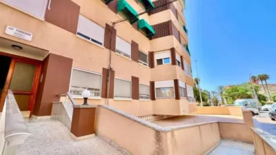 Pis – Torrevieja - Vista 4
