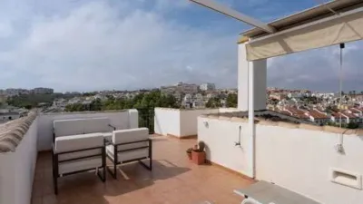 Pis – Torrevieja - Vista 2