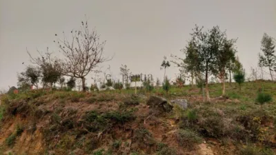 Terreno en venta en Agros de Vila - Vista 4
