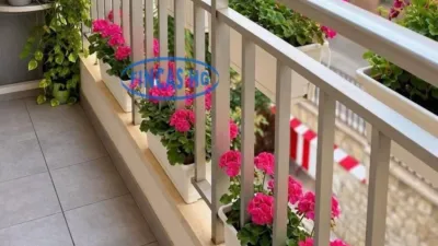 Pis – Alicante - Alacant - Vista 2