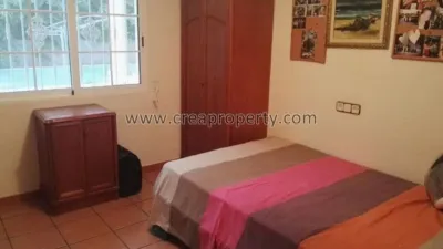 House in El Palmar photo 20