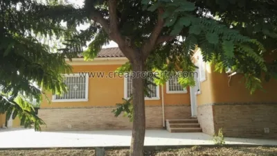 House in El Palmar photo 24