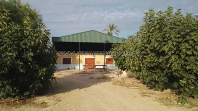 House in El Palmar photo 28