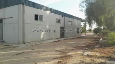 House in El Palmar photo 32