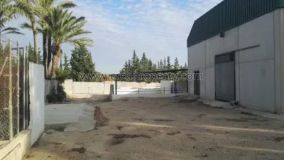 House in El Palmar photo 33