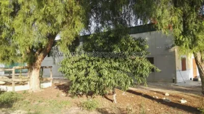 House in El Palmar photo 34