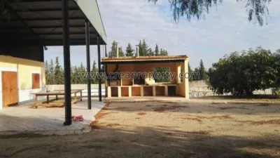 House in El Palmar photo 35