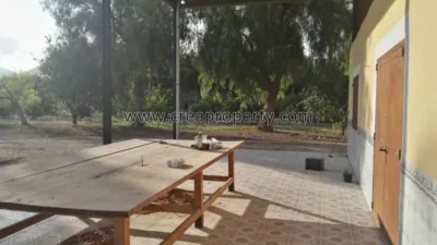 House in El Palmar photo 38