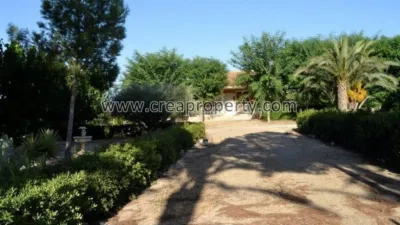 House in El Palmar photo 3