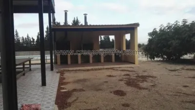 House in El Palmar photo 45