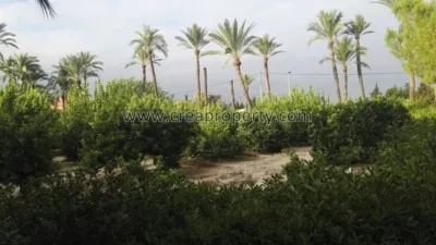 House in El Palmar photo 49