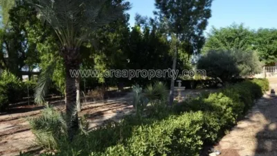 House in El Palmar photo 4