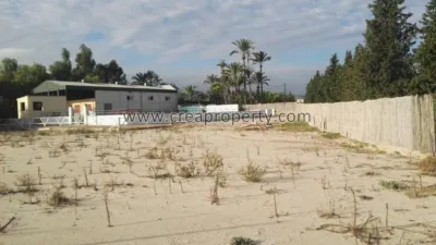 House in El Palmar photo 53