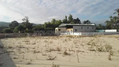 House in El Palmar photo 54