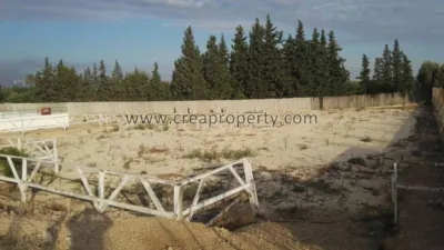 House in El Palmar photo 56