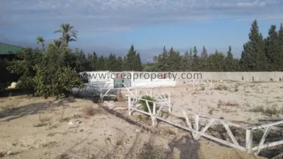 House in El Palmar photo 57
