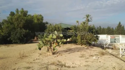 House in El Palmar photo 58