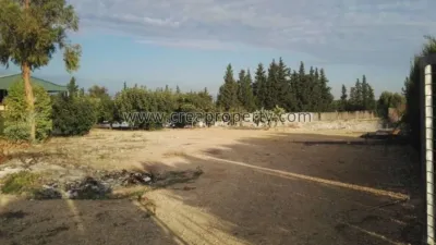 House in El Palmar photo 59