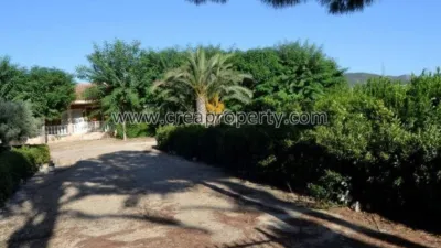 House in El Palmar photo 5