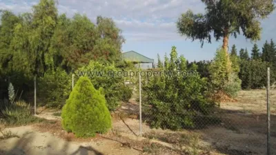 House in El Palmar photo 60