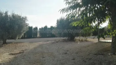 House in El Palmar photo 61