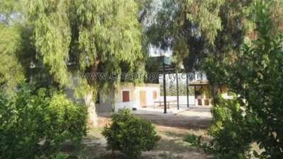 House in El Palmar photo 62