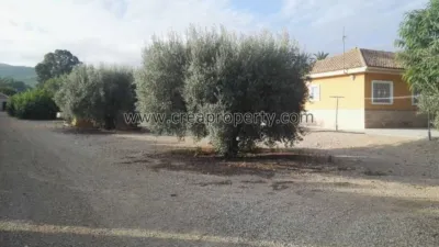 House in El Palmar photo 63