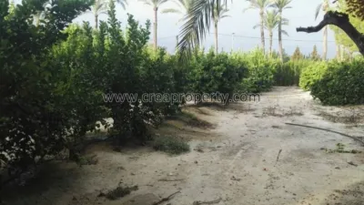 House in El Palmar photo 64