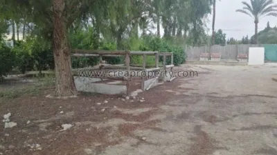 House in El Palmar photo 66