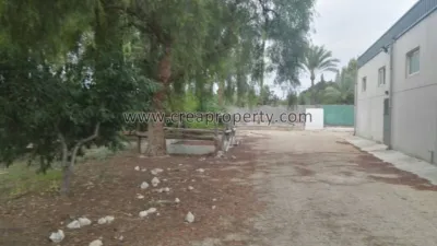 House in El Palmar photo 67