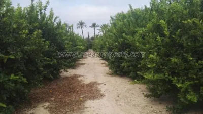 House in El Palmar photo 68