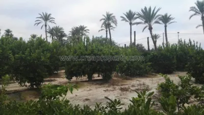 House in El Palmar photo 72