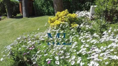 Chalet in Sant Pere de Ribes photo 4