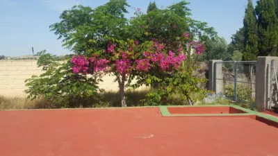 House in Orgegia photo 30