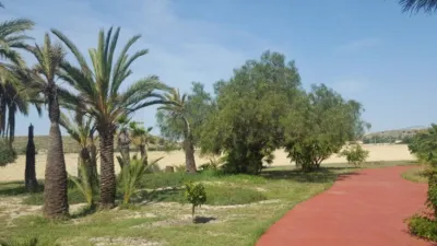 House in Orgegia photo 37