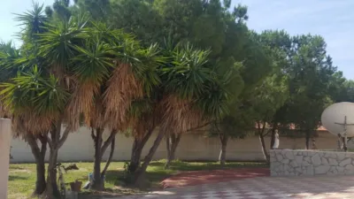House in Orgegia photo 42