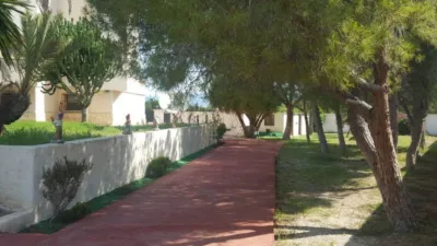 House in Orgegia photo 46