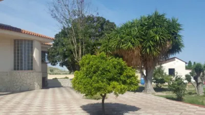 House in Orgegia photo 47