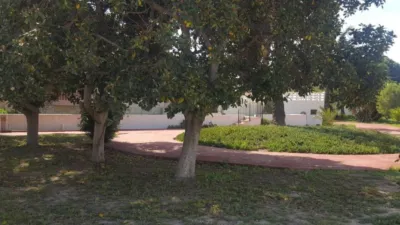 House in Orgegia photo 6