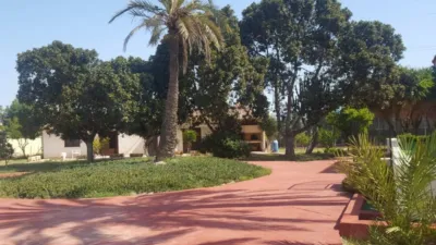 House in Orgegia photo 8