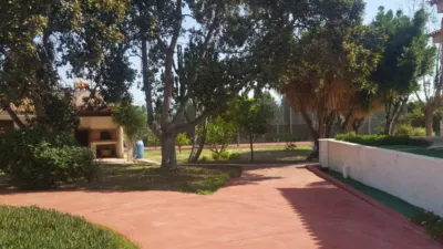 House in Orgegia photo 9